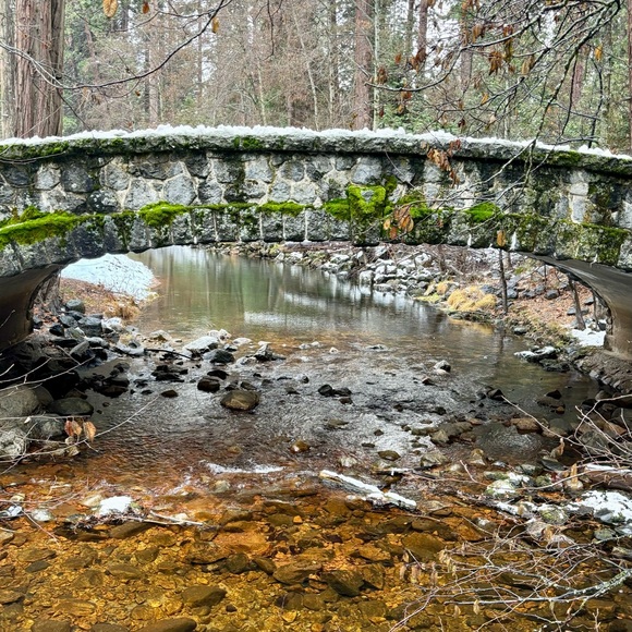 Meet your Posher, Grace - Picture 10 of 11